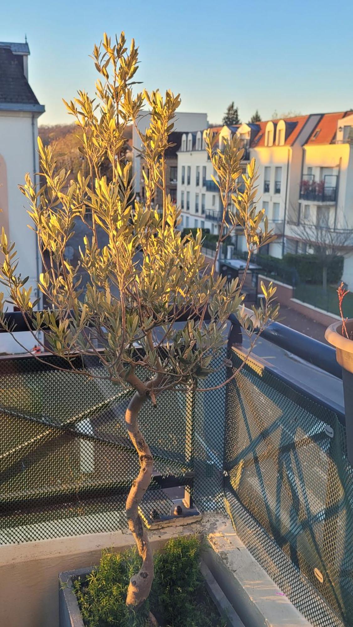 Duplex Art Place, Olympics 2024 Les Clayes-Sous-Bois Zewnętrze zdjęcie
